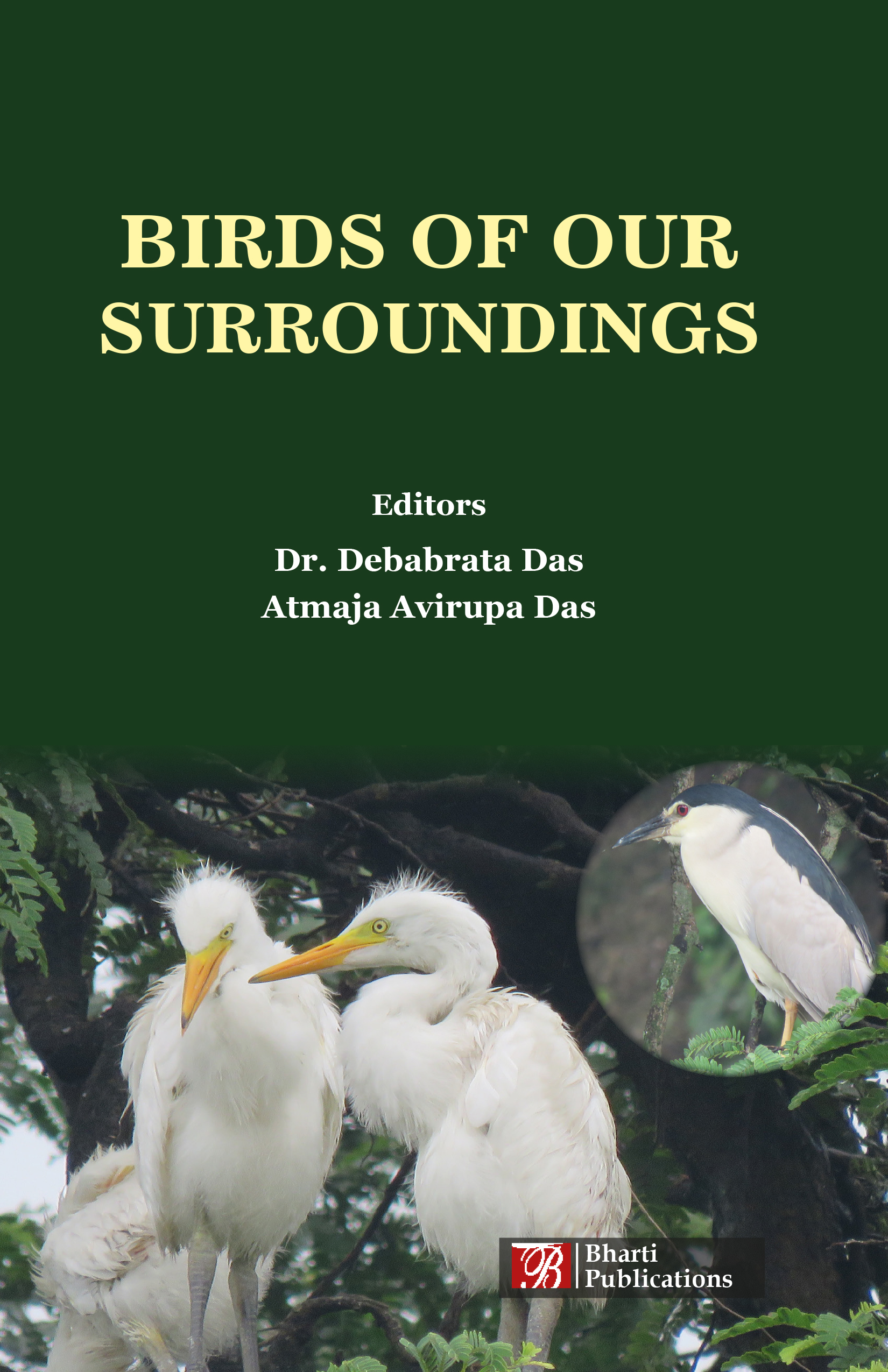 Birds of our surrounding